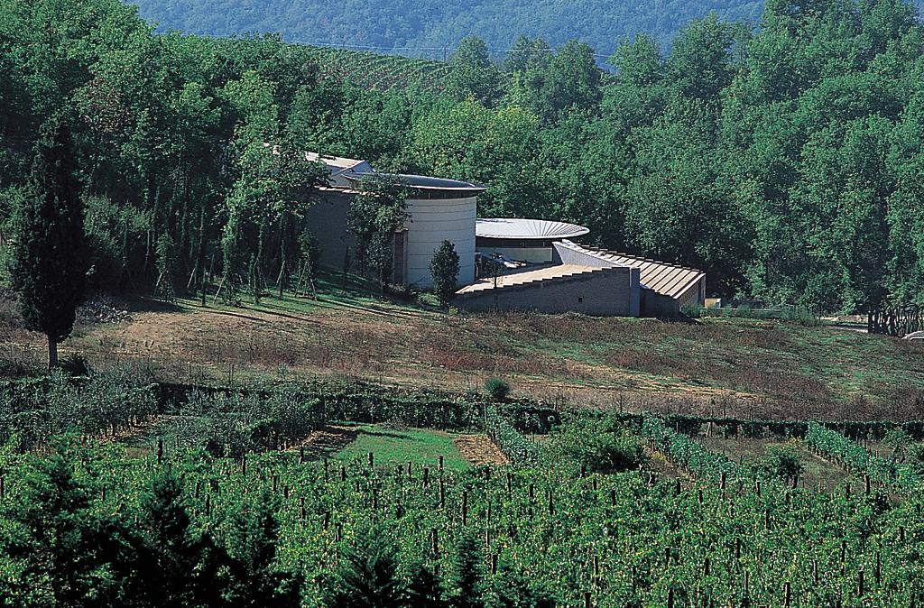 Cantina vinicola, Monti di Sotto (Italia)_Image1