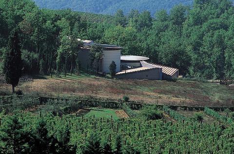 Cantina vinicola, Monti di Sotto (Italia)_Image111