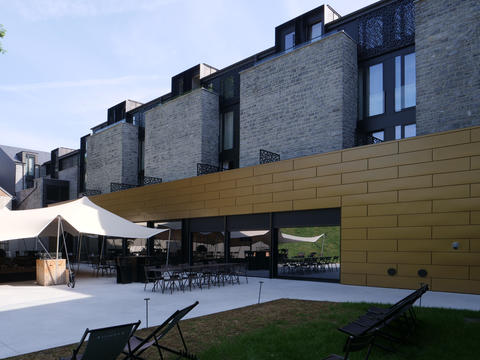 Sanglier des Ardennes, Durbuy (Belgique)_Image40