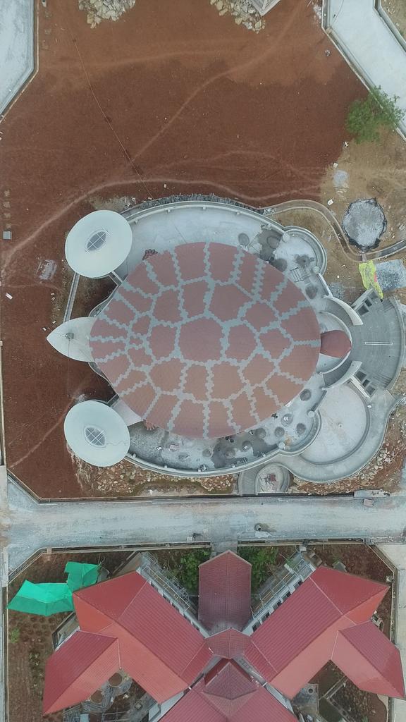 The Turtle Roof at Kshemavana SDM Institute of Naturopathy and Yogic Sciences, Bangalore (India)_Image1