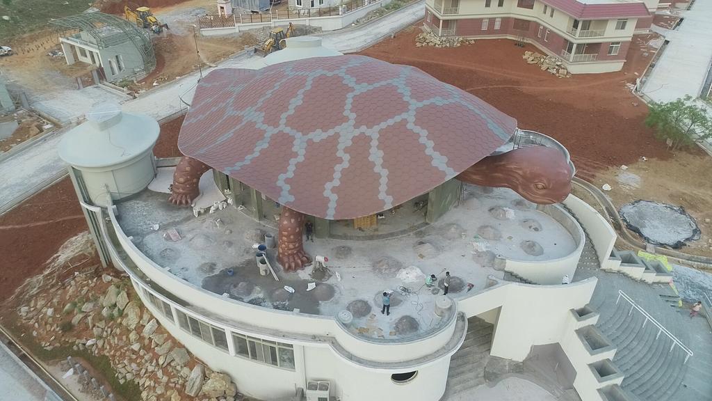 The Turtle Roof at Kshemavana SDM Institute of Naturopathy and Yogic Sciences, Bangalore (India)_Image2