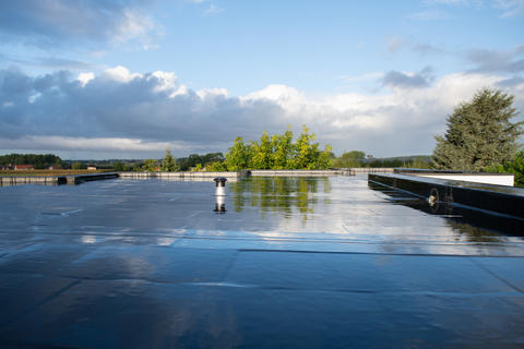 De Scheerder Ruud, Oudenaarde (Belgium)_Image6