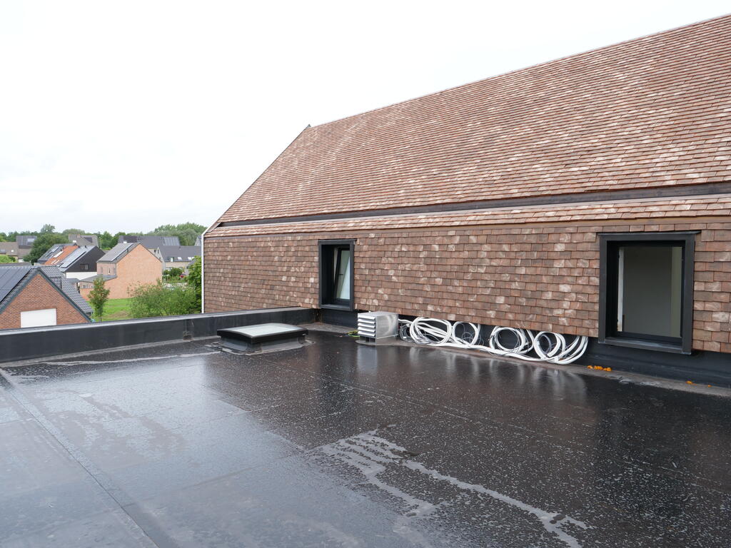 Private house, Welle (BE)_Image7