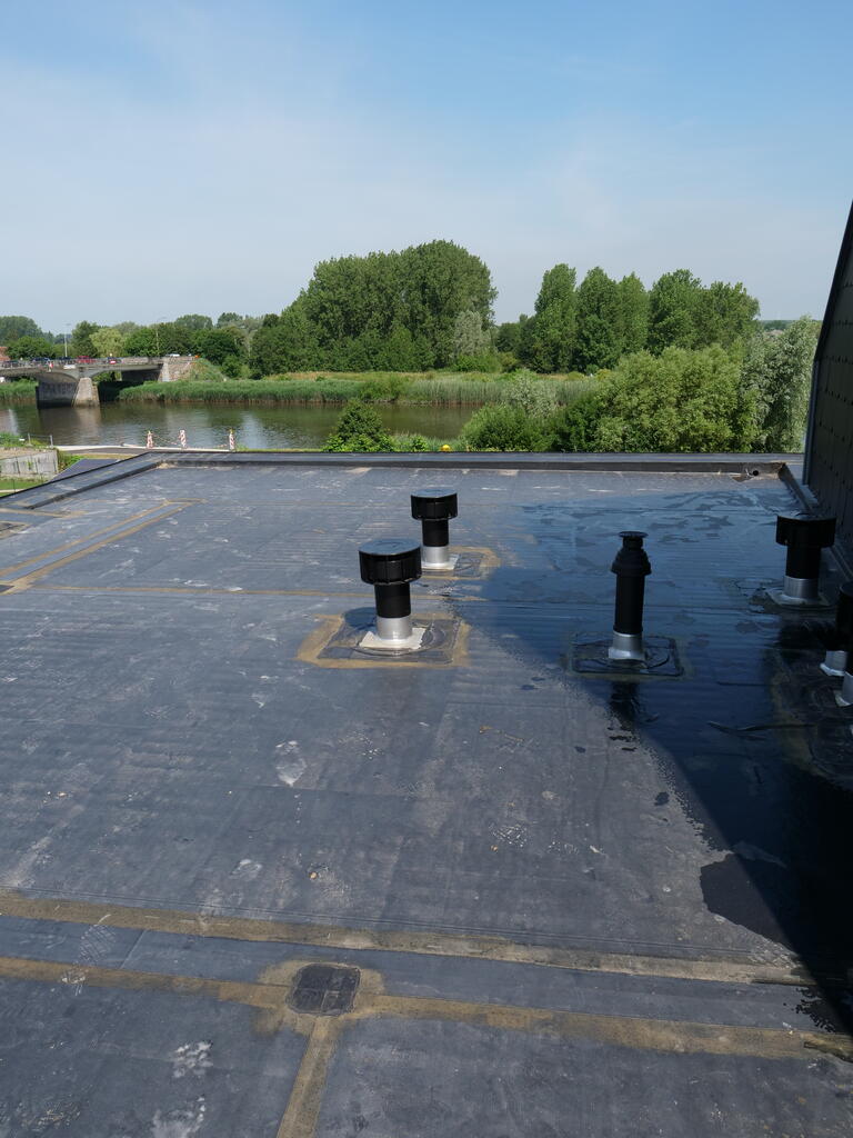 House, Schoonaarde (BE)_Image3