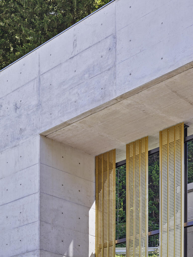 Aurubis, Bosrucktunnel, (Austria)_Image8