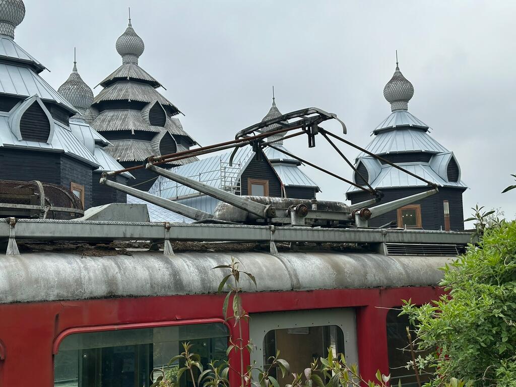 Pairi Daiza, 7940 Brugelette (België)_Image10