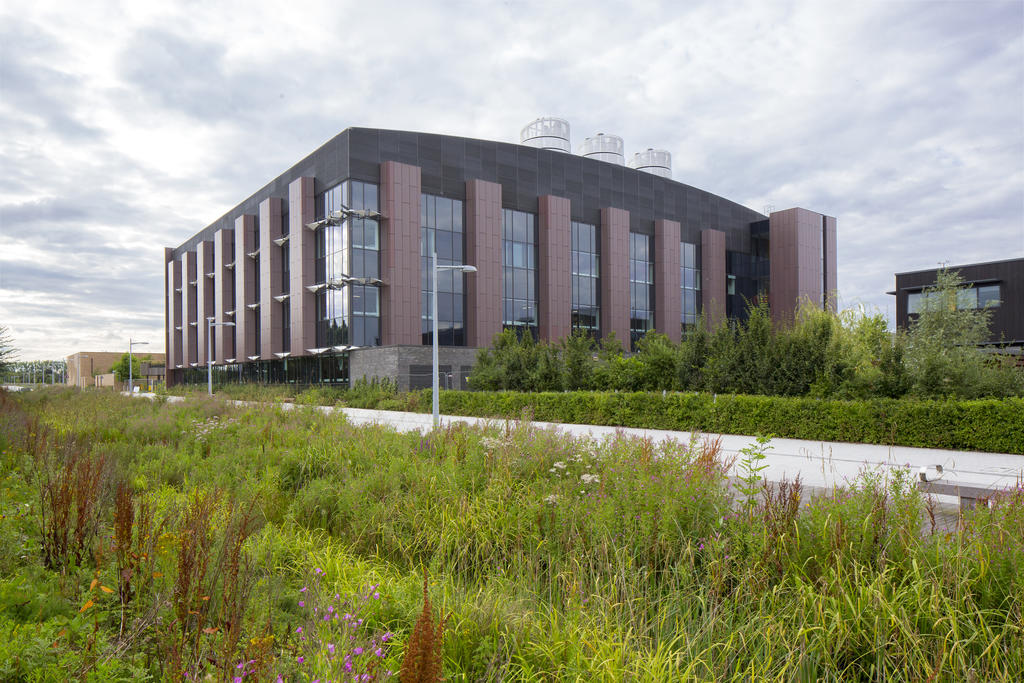 Cambridge visual data 7