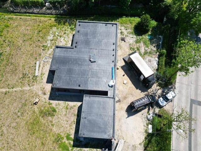 Boomkwekerij, Lochristi (België)_Image1