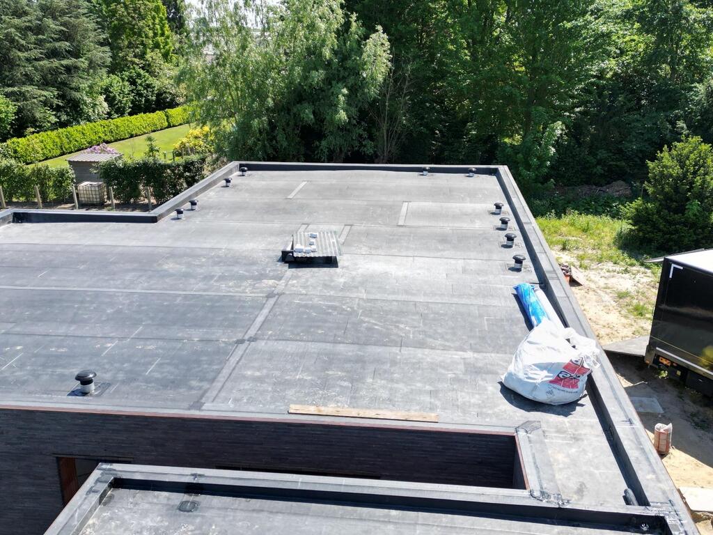 Boomkwekerij, Lochristi (België)_Image5