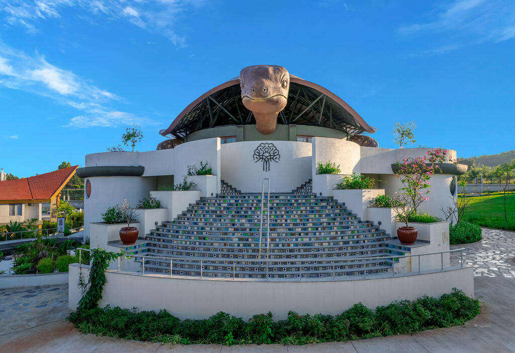 The Turtle Roof at Kshemavana SDM Institute of Naturopathy and Yogic Sciences, Bangalore (India)_Image6