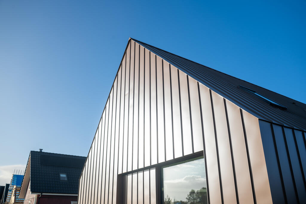 Woning, Zwanebloem - Leek (Nederland)_Image2