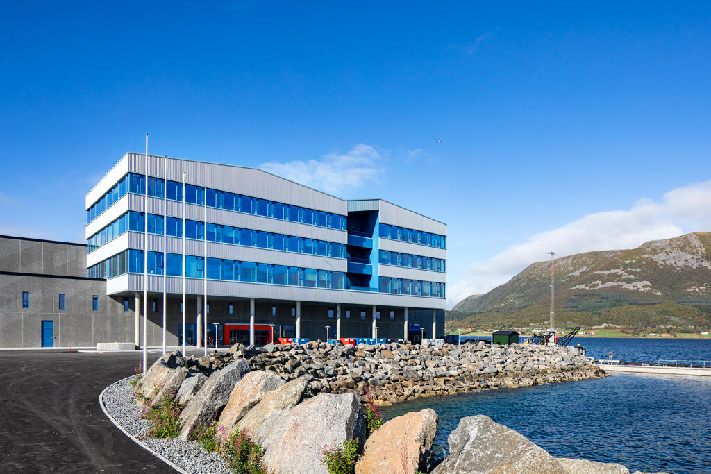 Nordlaks, Børøya (Norway)_Image4