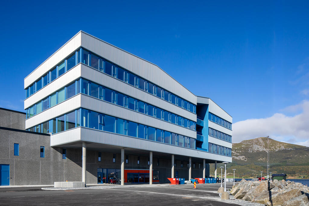 Nordlaks, Børøya (Norway)_Image5