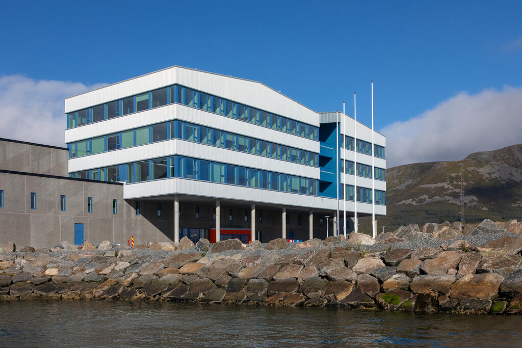 Nordlaks, Børøya (Norway)_Image2