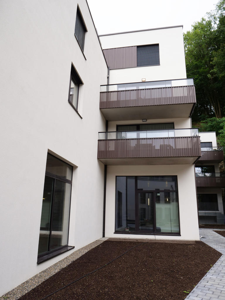 Les Brasseries de Neudorf, Neudorf (Luxembourg) VMZINC Danmark