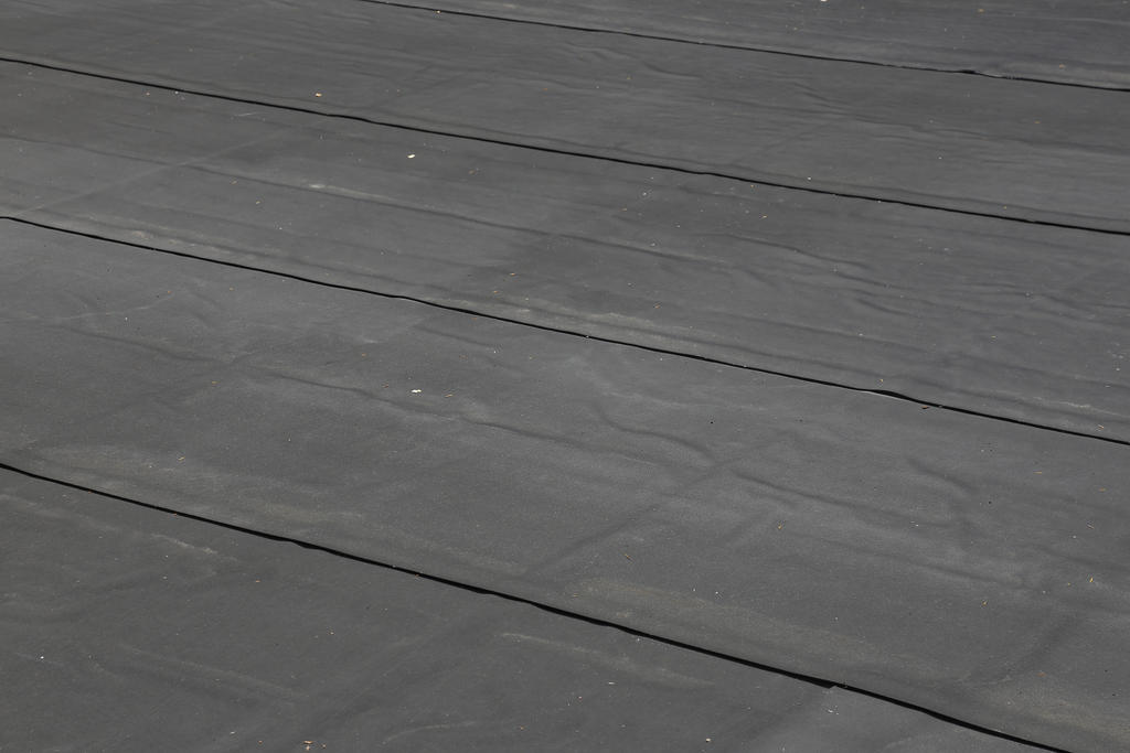 Bureaux Technolac, Bourget du Lac (France)_Image21